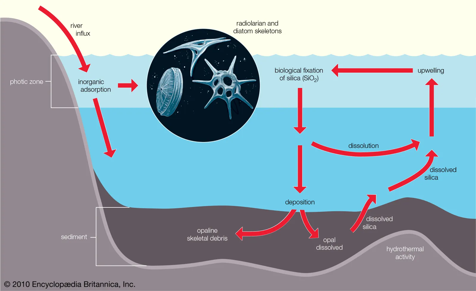 Carbon Silicate Cycle